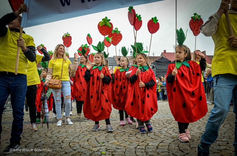  fot. Anna Wójcik-Brzezińska 