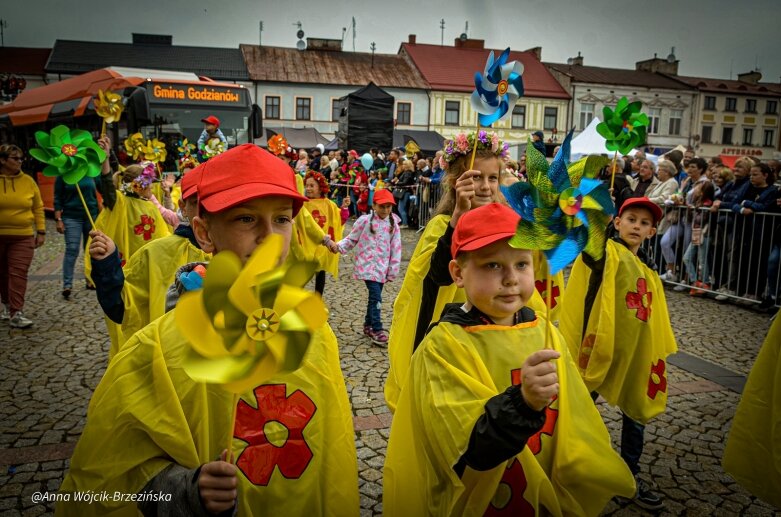  fot. Anna Wójcik-Brzezińska 