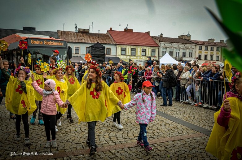  fot. Anna Wójcik-Brzezińska 