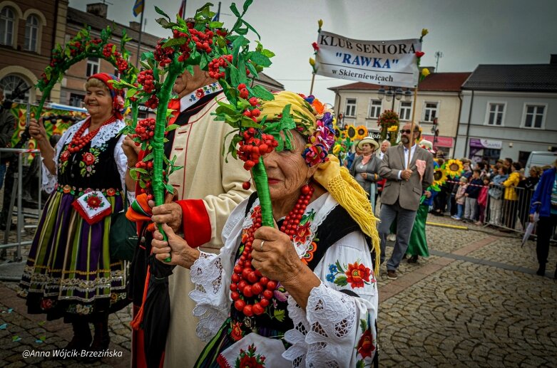  fot. Anna Wójcik-Brzezińska 