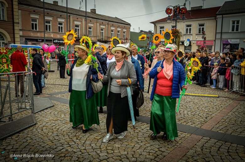  fot. Anna Wójcik-Brzezińska 