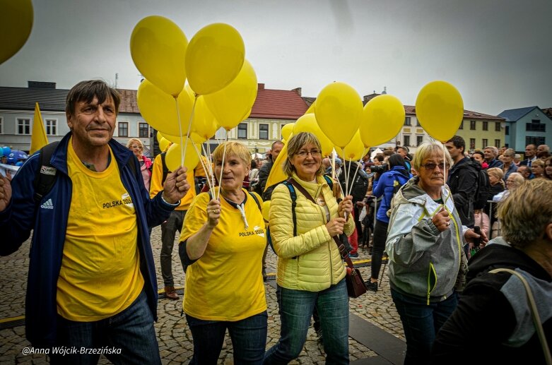  fot. Anna Wójcik-Brzezińska 