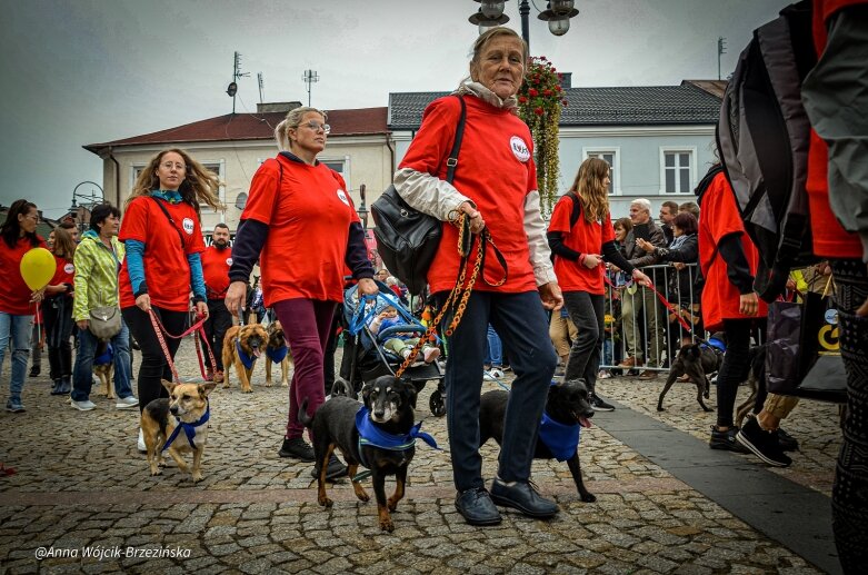  fot. Anna Wójcik-Brzezińska 