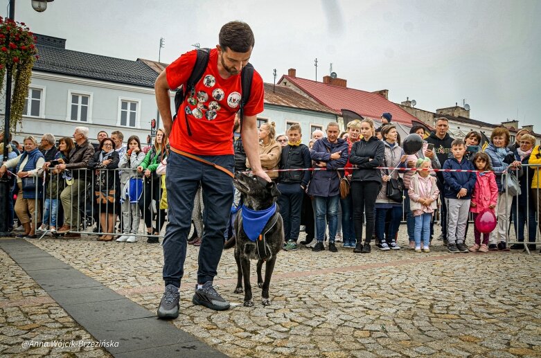  fot. Anna Wójcik-Brzezińska 