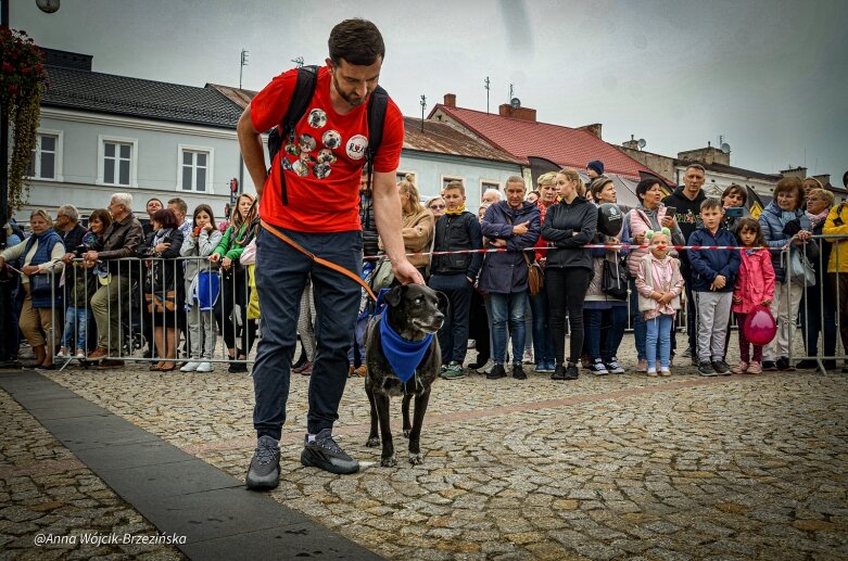  fot. Anna Wójcik-Brzezińska 