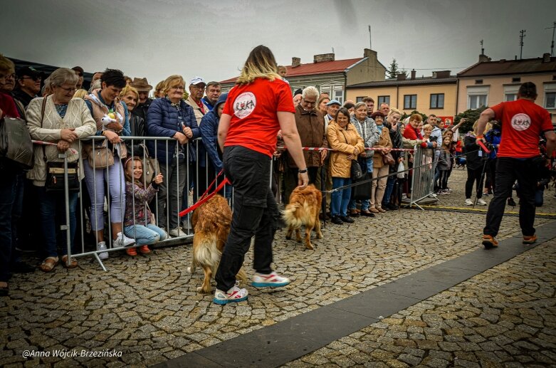  fot. Anna Wójcik-Brzezińska 