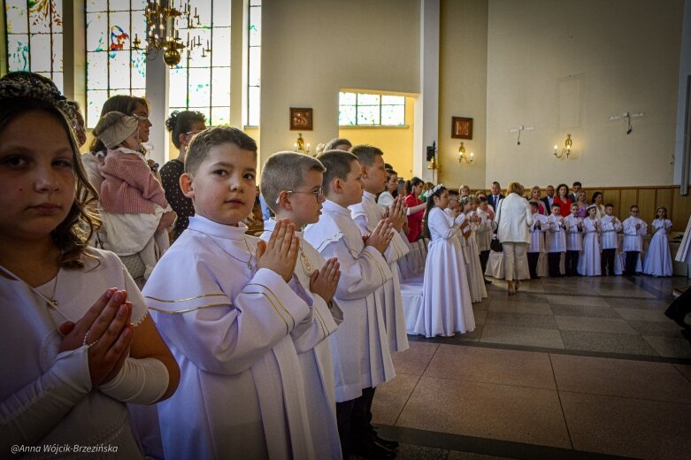  fot. Anna Wójcik-Brzezińska 