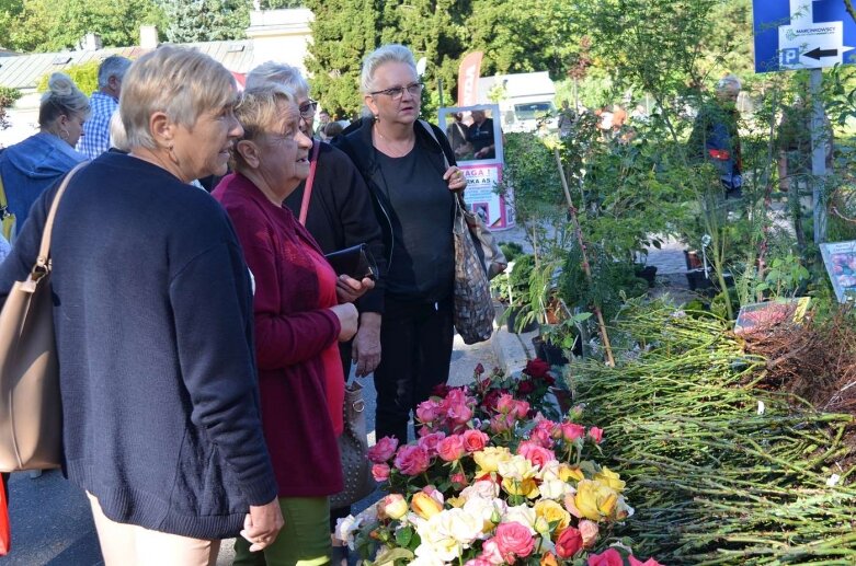  Raj nie tylko dla działkowców - kiermasze i wystawy w Osadzie Pałacowej 