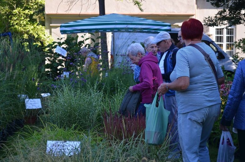  Raj nie tylko dla działkowców - kiermasze i wystawy w Osadzie Pałacowej 