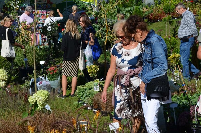  Raj nie tylko dla działkowców - kiermasze i wystawy w Osadzie Pałacowej 