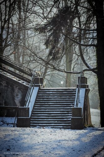  Zima. Skierniewice 2024 