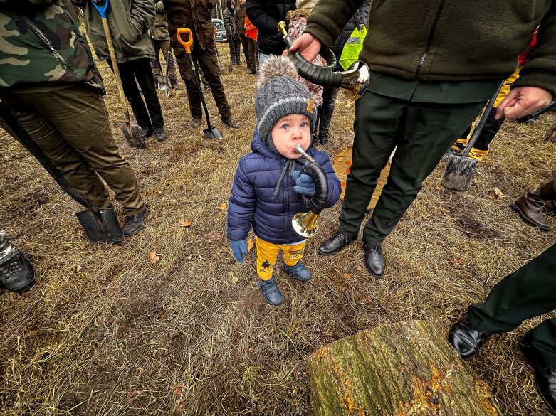  Las niepodległości w Bolimowskim Parku Krajobrazowym 