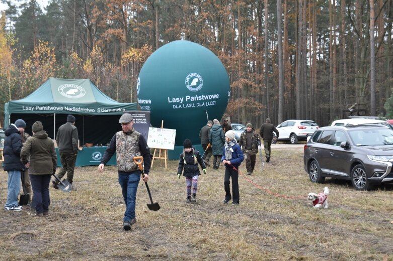  Las niepodległości w Bolimowskim Parku Krajobrazowym 