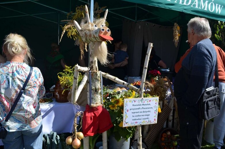  Powiatowe Święto Plonów w Starej Rawie  