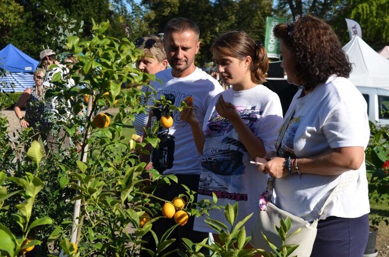 Kwiaty, owoce i warzywa królują w Osadzie Pałacowej 