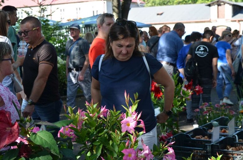  Kwiaty, owoce i warzywa królują w Osadzie Pałacowej  