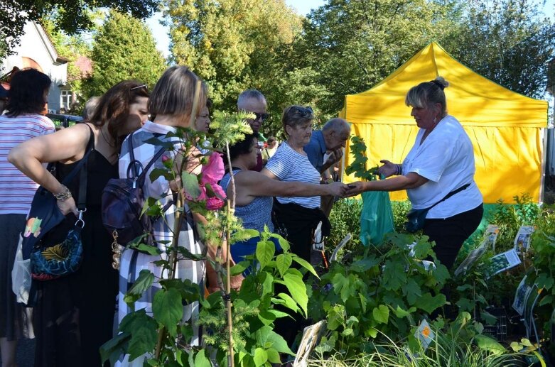 Kwiaty, owoce i warzywa królują w Osadzie Pałacowej  
