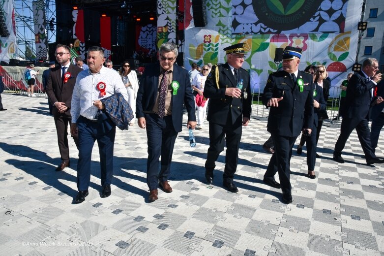  Barwna parada ulicami Skierniewic 