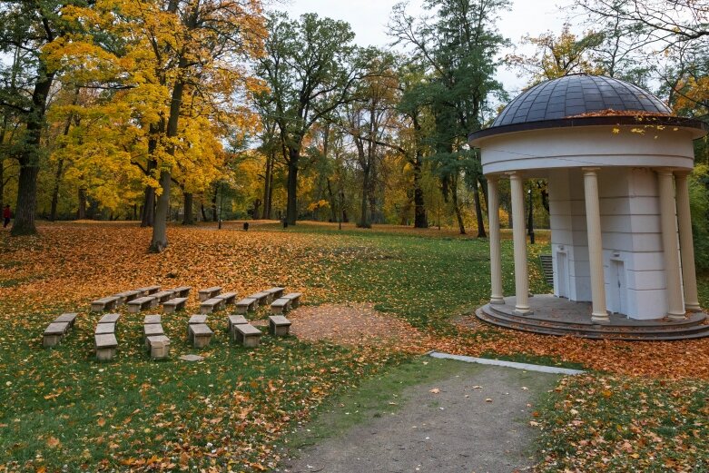 Złota polska jesień w Skierniewicach i okolicy 