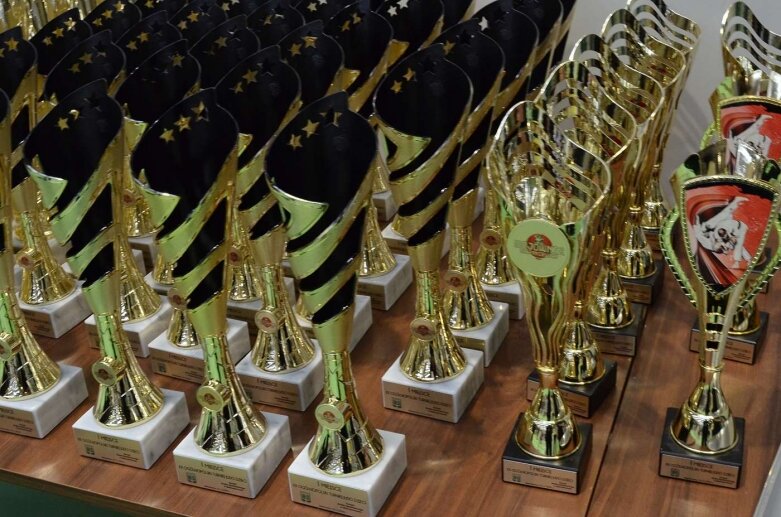  XX Ogólnopolski Turniej Judo Dzieci  