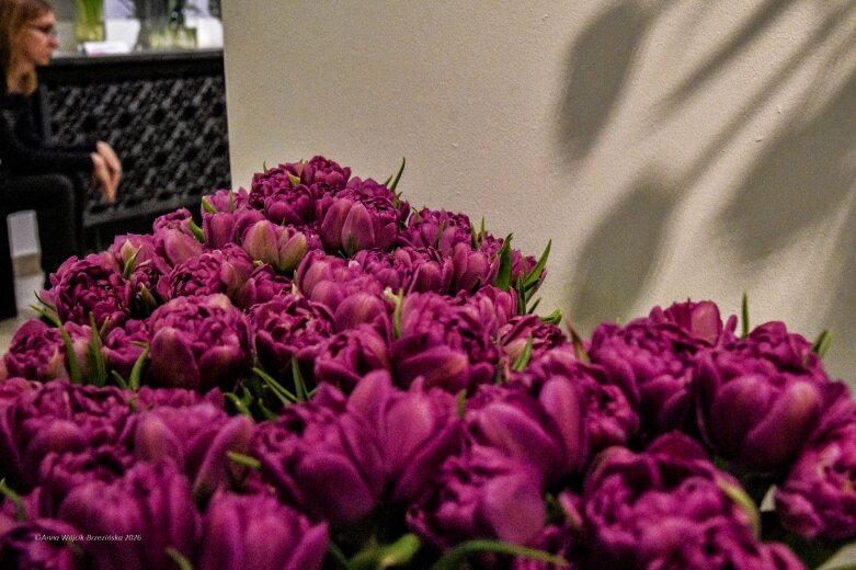  Trzy damy wśród tulipanów. Wilanów zakwitł, Skierniewice wybrzmiały 