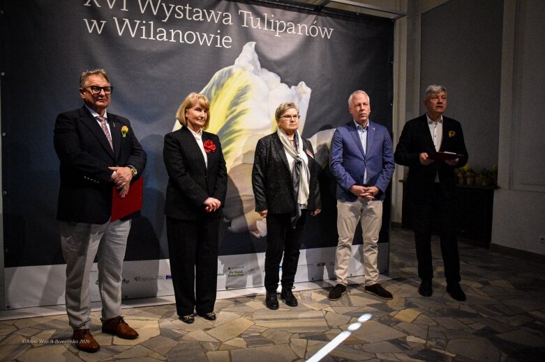  Trzy damy wśród tulipanów. Wilanów zakwitł, Skierniewice wybrzmiały 