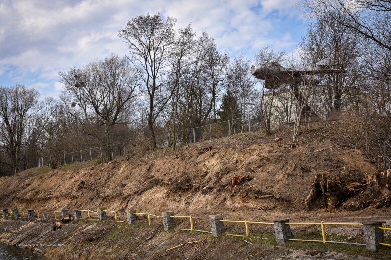  Skierniewice budują połączenie parku z Zadębiem. Wycinka drzew, kładka i termin zakończenia inwestycji 