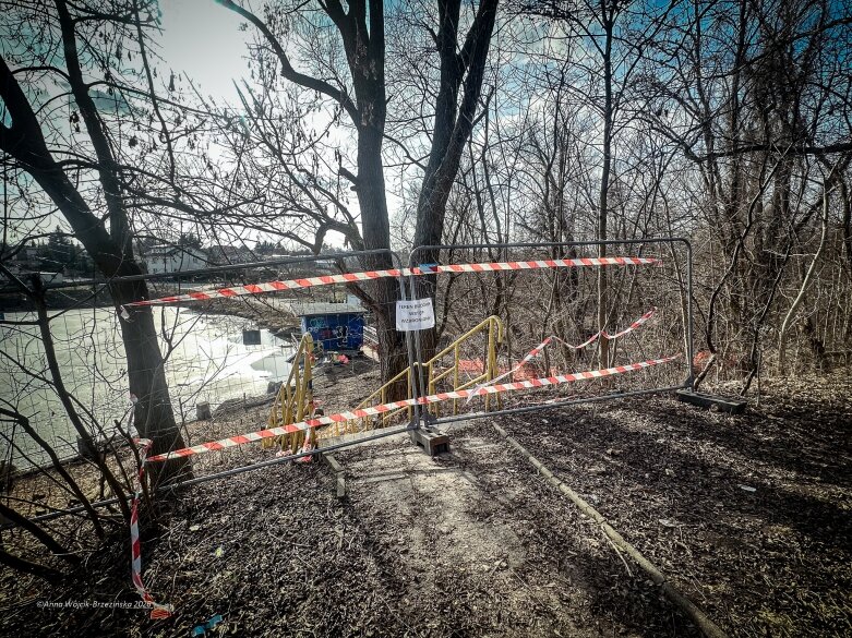  Skierniewice budują połączenie parku z Zadębiem. Wycinka drzew, kładka i termin zakończenia inwestycji 