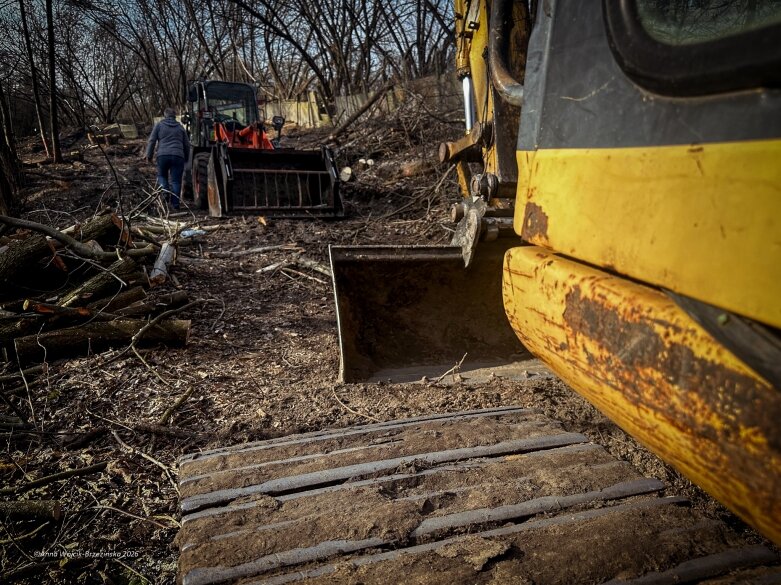  Skierniewice budują połączenie parku z Zadębiem. Wycinka drzew, kładka i termin zakończenia inwestycji 