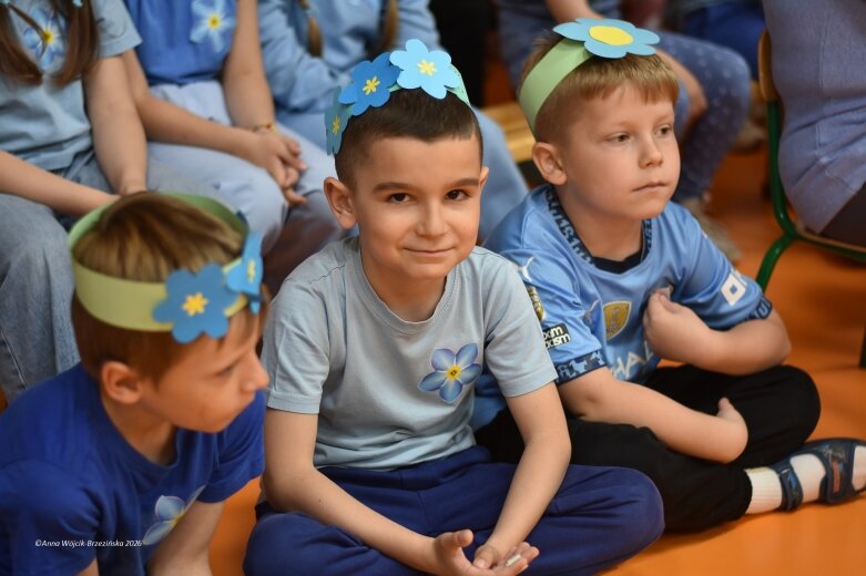  15 maja. Dzień Niezapominajki 