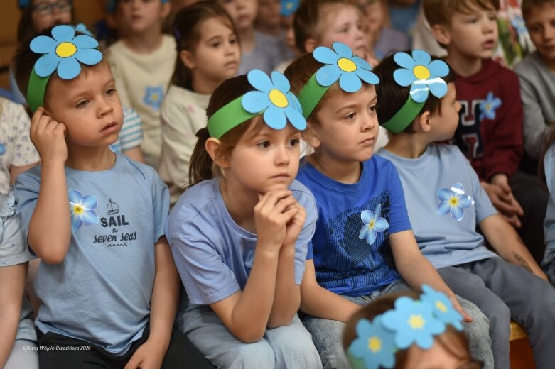  15 maja. Dzień Niezapominajki 
