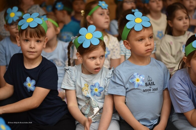  15 maja. Dzień Niezapominajki 