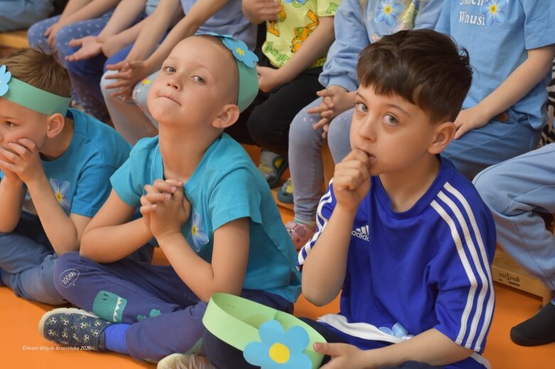  15 maja. Dzień Niezapominajki 