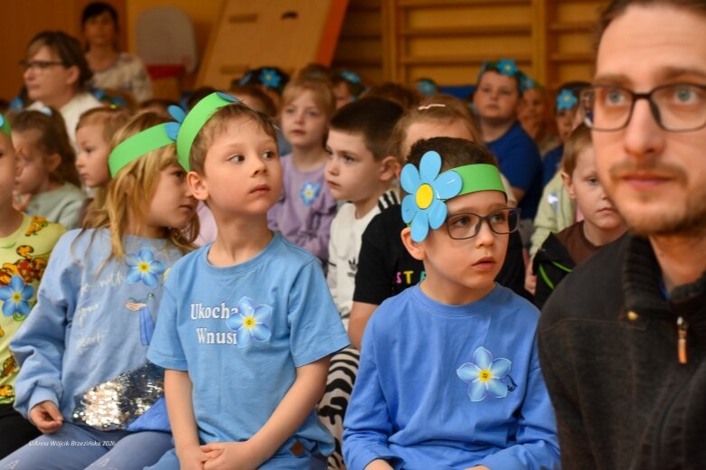  15 maja. Dzień Niezapominajki 