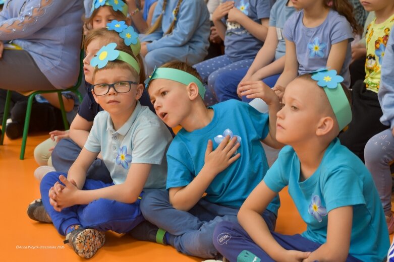  15 maja. Dzień Niezapominajki 