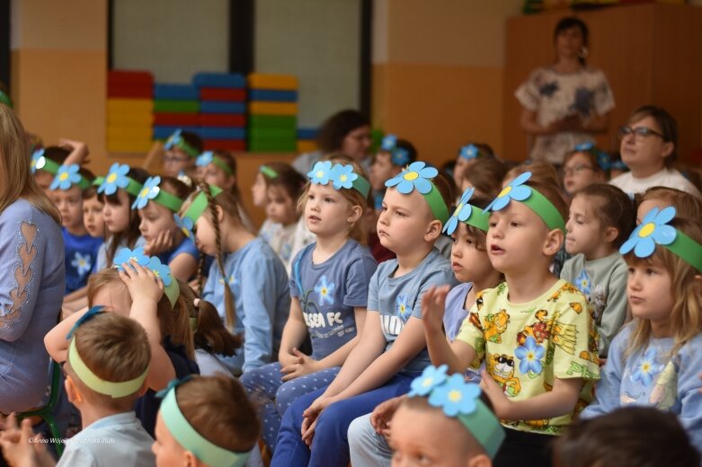  15 maja. Dzień Niezapominajki 