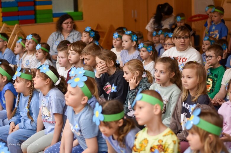  15 maja. Dzień Niezapominajki 