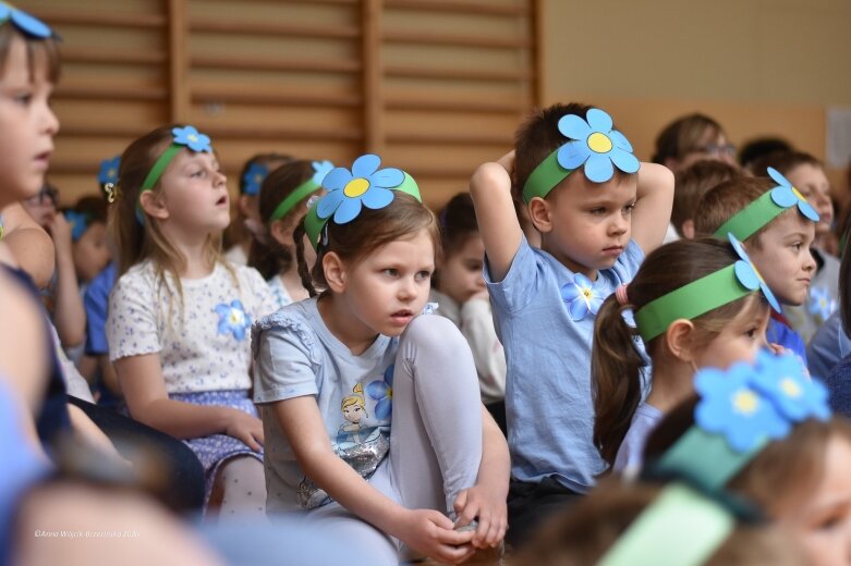  15 maja. Dzień Niezapominajki 