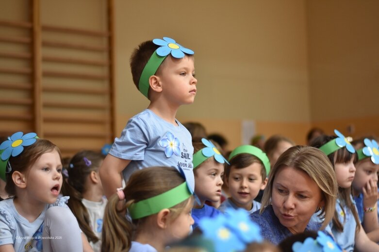  15 maja. Dzień Niezapominajki 