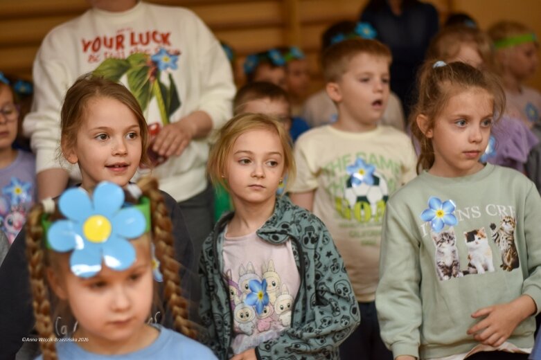  15 maja. Dzień Niezapominajki 