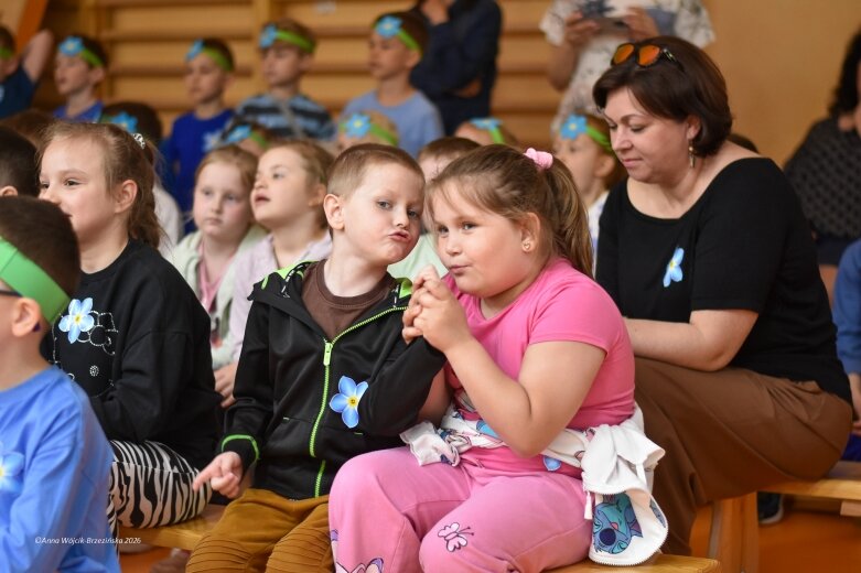  15 maja. Dzień Niezapominajki 