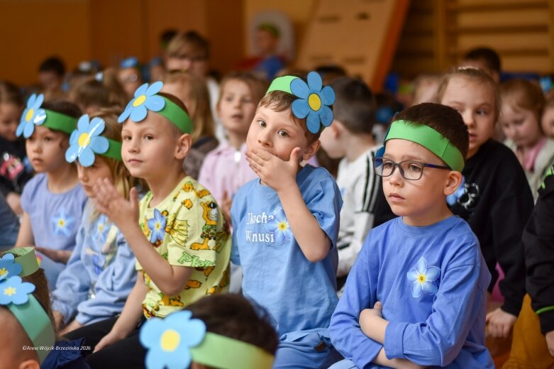  15 maja. Dzień Niezapominajki 