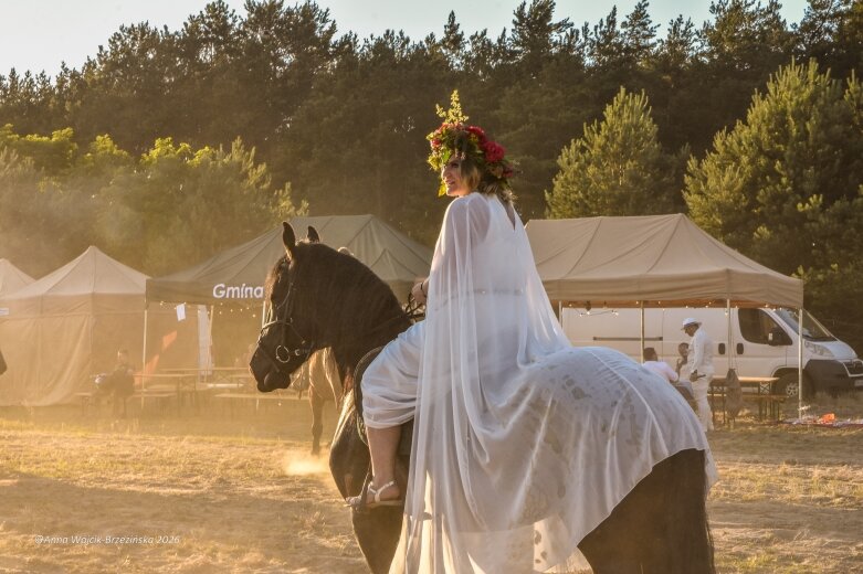  Najkrótsza noc, najdłuższe czary. Jelenie w terenie szukały kwiatu paproci 