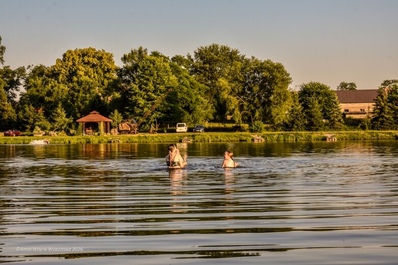  Najkrótsza noc, najdłuższe czary. Jelenie w terenie szukały kwiatu paproci 