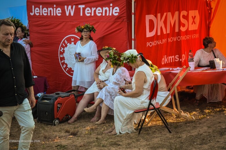  Najkrótsza noc, najdłuższe czary. Jelenie w terenie szukały kwiatu paproci 
