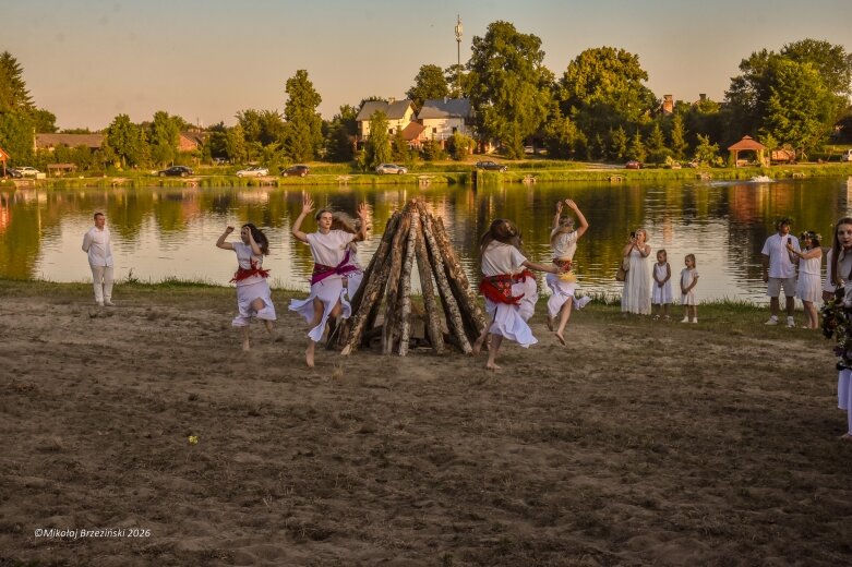  Najkrótsza noc, najdłuższe czary. Jelenie w terenie szukały kwiatu paproci 