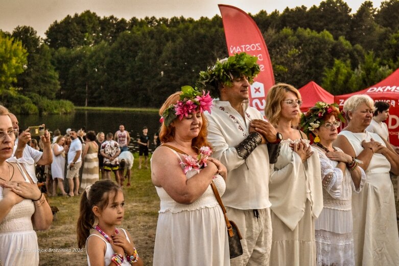  Najkrótsza noc, najdłuższe czary. Jelenie w terenie szukały kwiatu paproci 