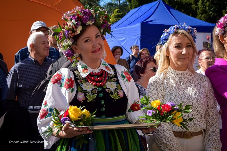  Ogród na salonach. Święto Kwiatów w Pałacu Prymasowskim 