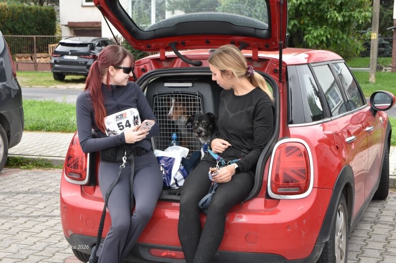  K9B nad Zalewem Zadębie. Człowiek i pies na jednej trasie 