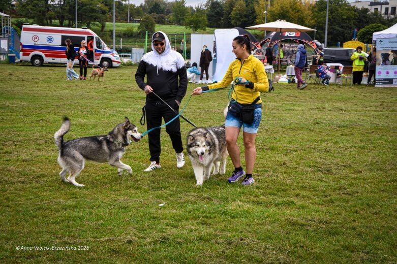  K9B nad Zalewem Zadębie. Człowiek i pies na jednej trasie 